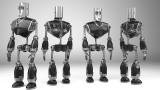 bots_01_persp